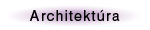 architektura